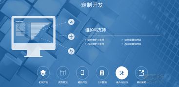 網(wǎng)站定制開(kāi)發(fā)的意義